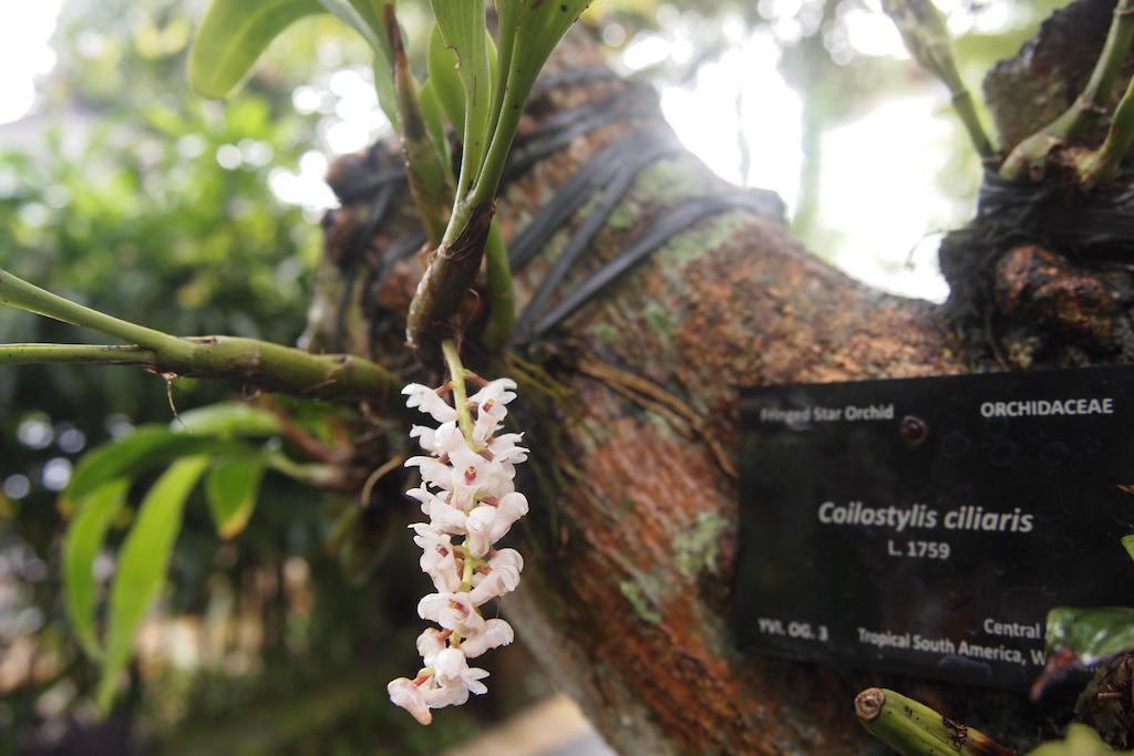 Yulia Village Inn Ubud Kültér fotó